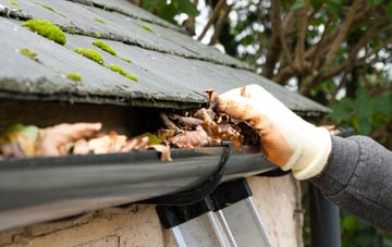 gutter cleaning Lower Stratton